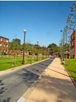 Plantations